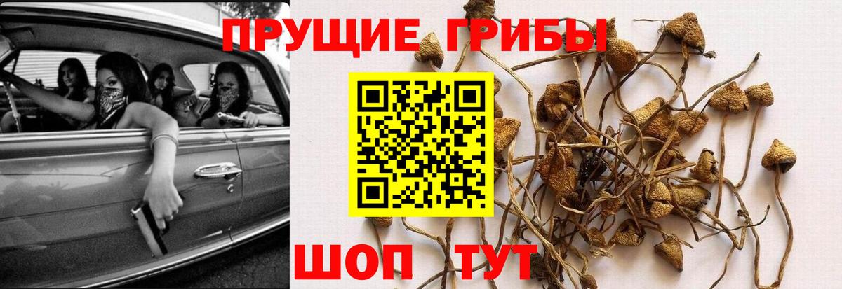 Железногорск  Галлюциногенные грибы мухоморы  Вход с VPN 